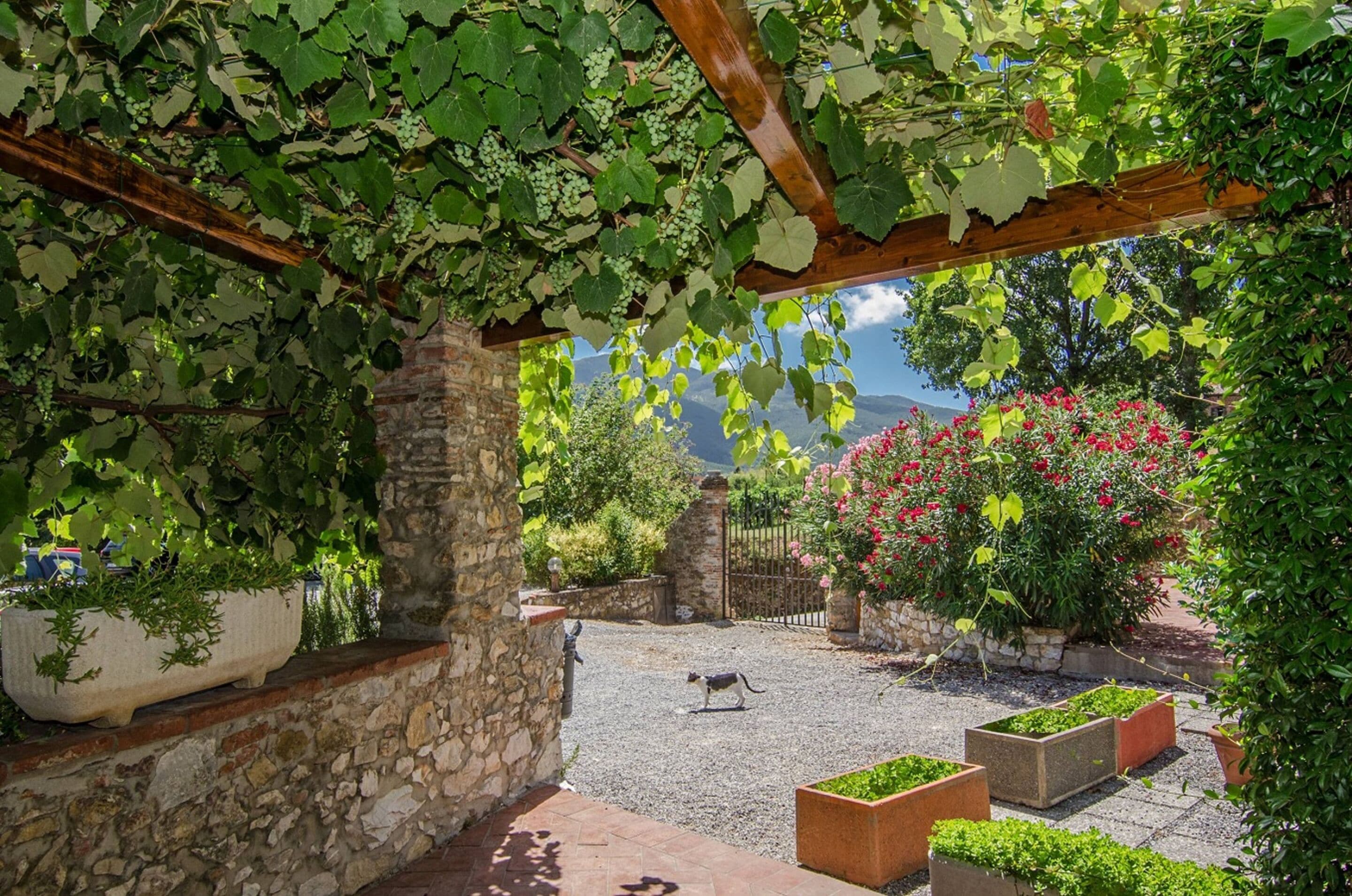 Foto - Hotel Villa Cheli