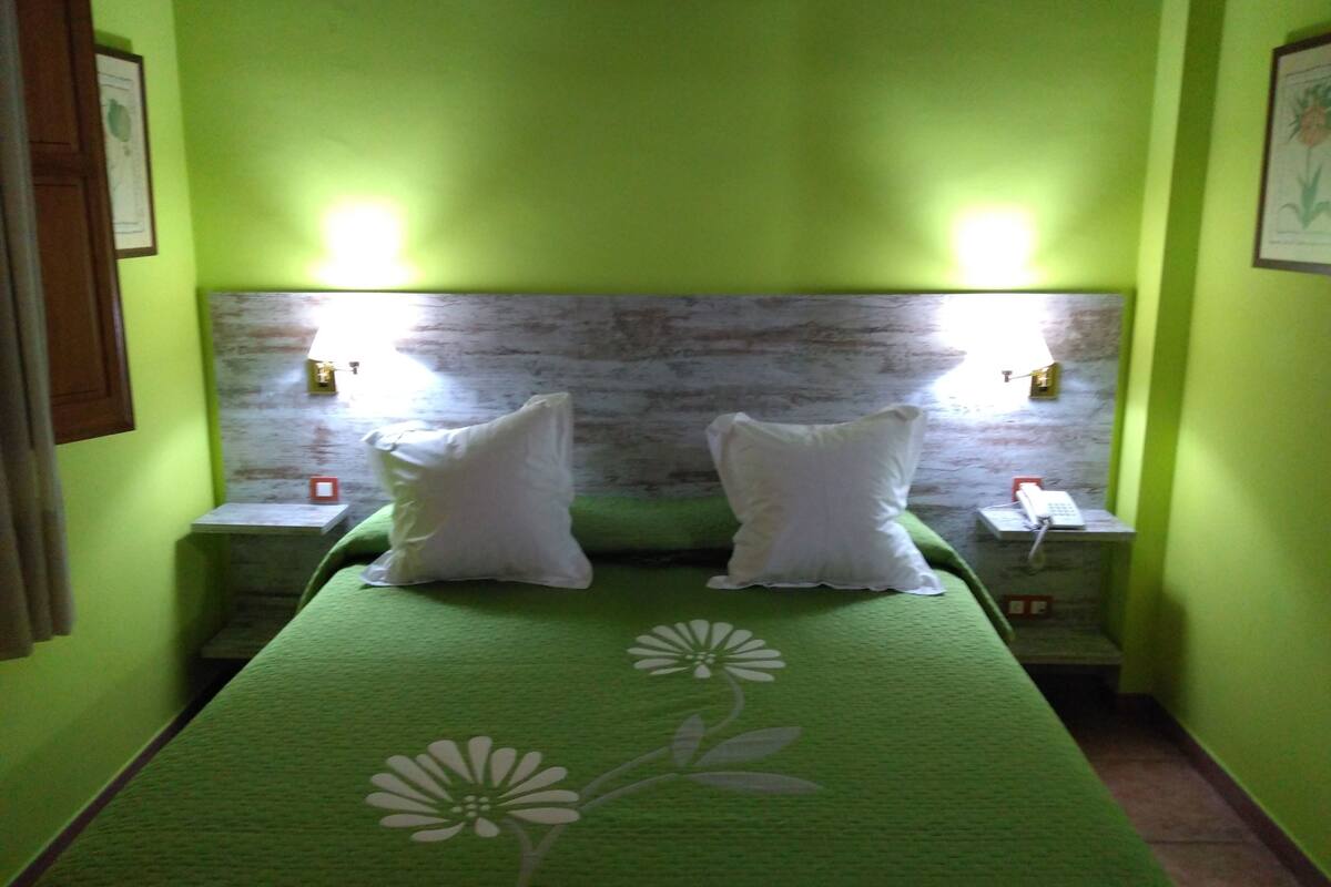 basic double room, 1 double bed | individually decorated, desk, free wifi