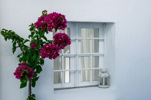 Basic-Studio | Aussenbereich