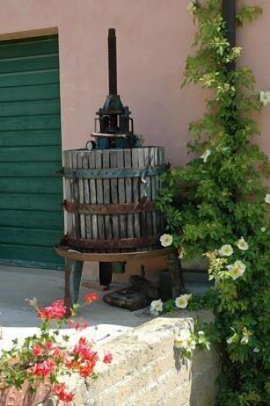 Una parrilla rústica al aire libre con chimenea, frente a una puerta verde y rodeada de plantas con flores.