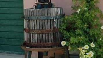 Una parrilla rústica al aire libre con chimenea, frente a una puerta verde y rodeada de plantas con flores.