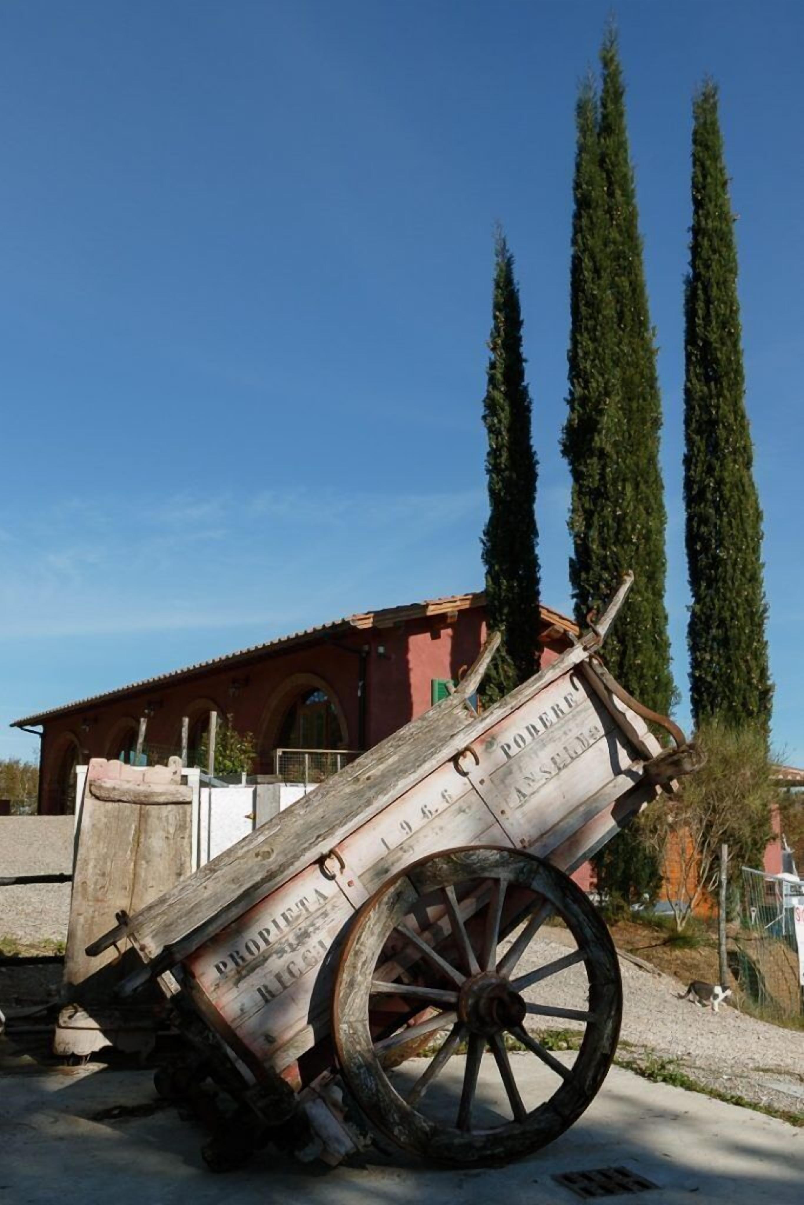 A wooden cart with inscriptions, a building with arched windows, and tall cypress trees in the background.