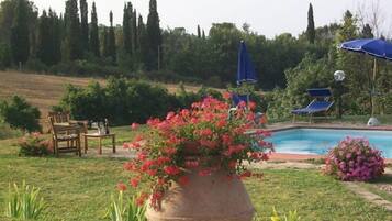 Seasonal outdoor pool, pool umbrellas, pool loungers
