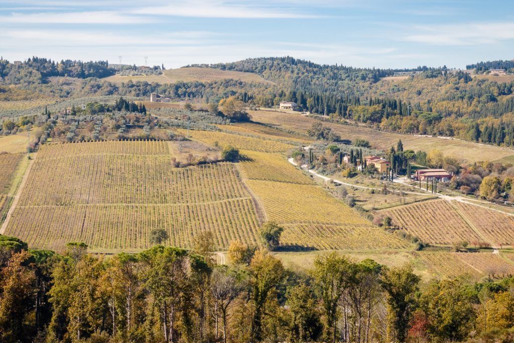 Paisaje de viñedo con hileras de vides, algunos edificios y un telón de fondo montañoso.