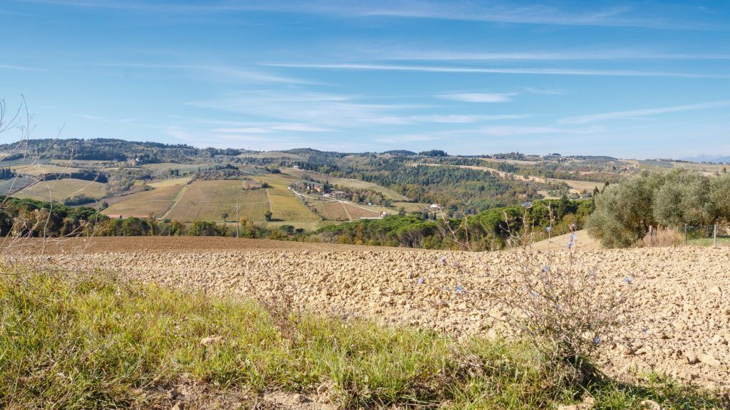 Een landelijk landschap met glooiende heuvels, velden en verspreid liggende bomen.
