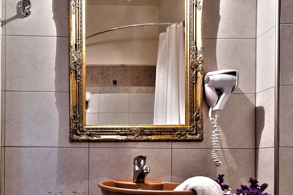 free toiletries, hair dryer, towels