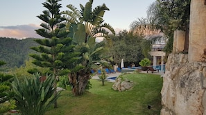 Property grounds - Demetriou Paradisos Hills (Lysos)