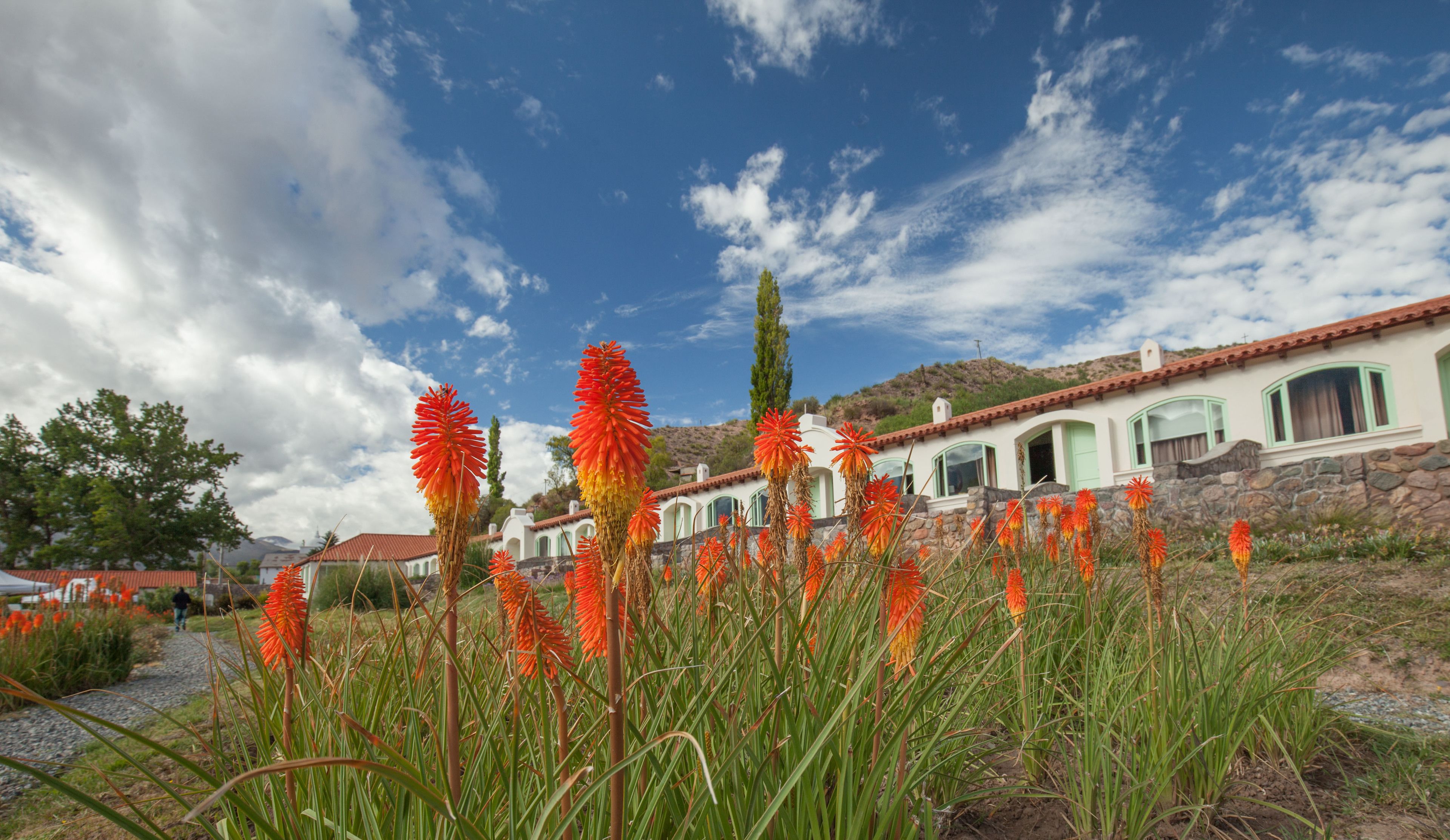 部屋からの景観
