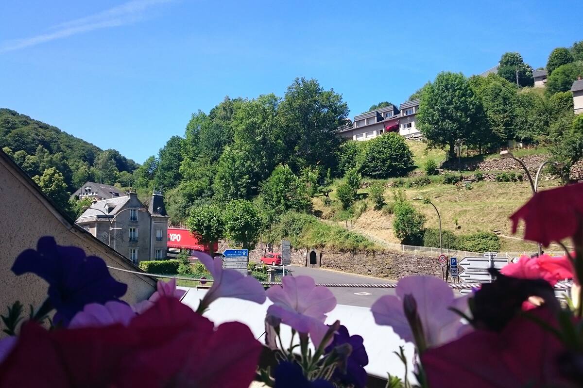 Dobbeltrom, terrasse | Minibar, skrivebord, blendingsgardiner og strykejern/-brett