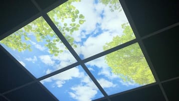 A skylight with a view of the sky and trees.