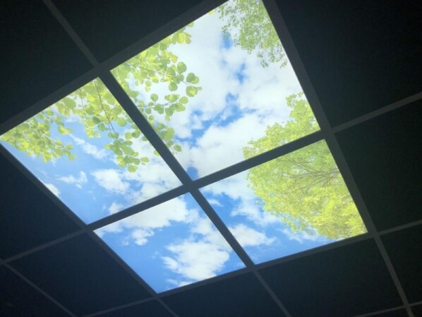 Un tragaluz con vista al cielo y a los árboles.