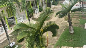 Un patio con palmeras, una piscina y un edificio con detalles en verde.
