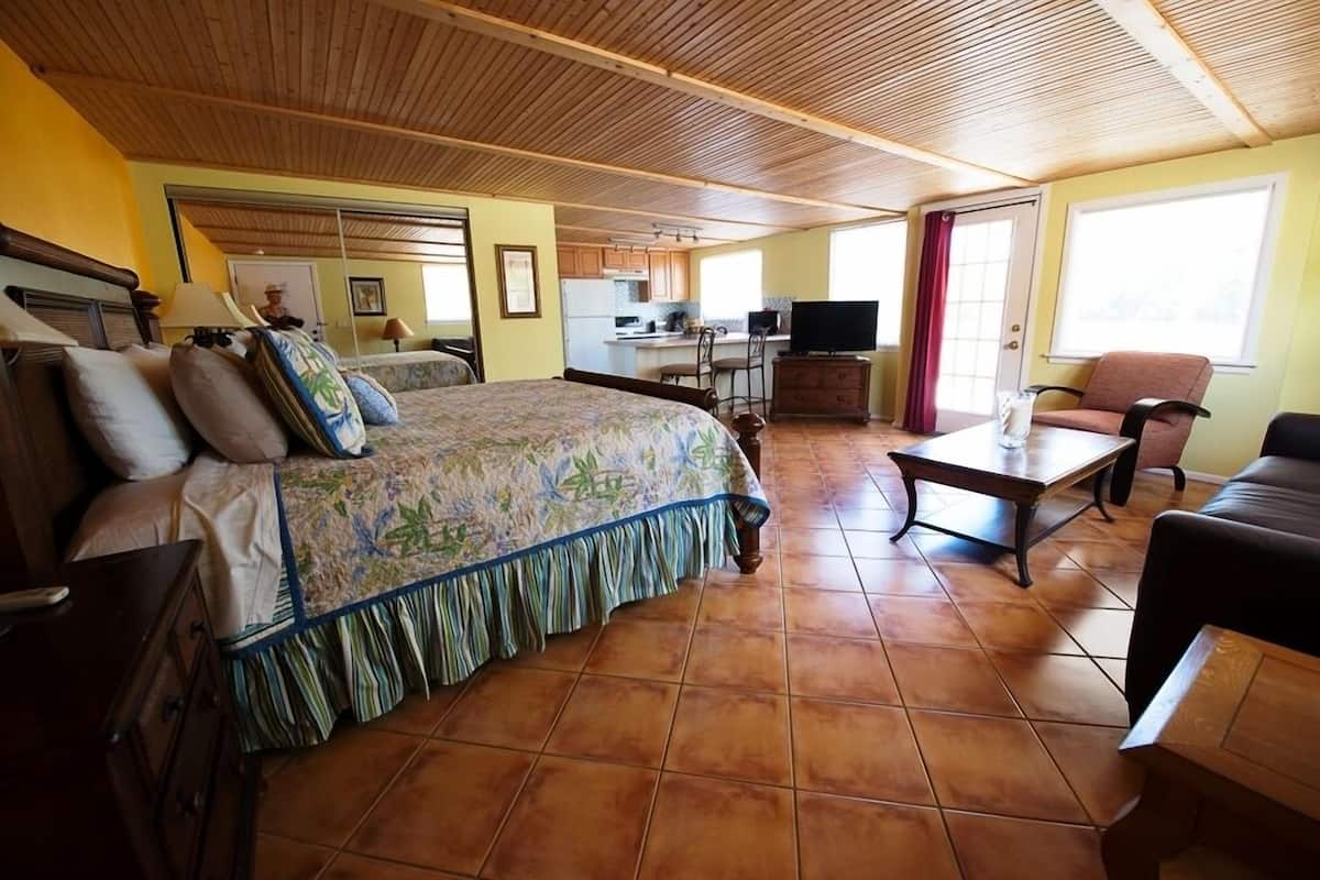 Suite Studio, 1 très grand lit et 1 canapé-lit, cuisine
