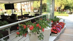 A modern outdoor seating area with wicker furniture and potted plants. - Hotel Martini (Lignano Sabbiadoro)