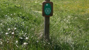 A signpost with 'MOLINES EN QUEYRAS' and 'D5' indicating a location. - Le Chamois (Molines-en-Queyras)
