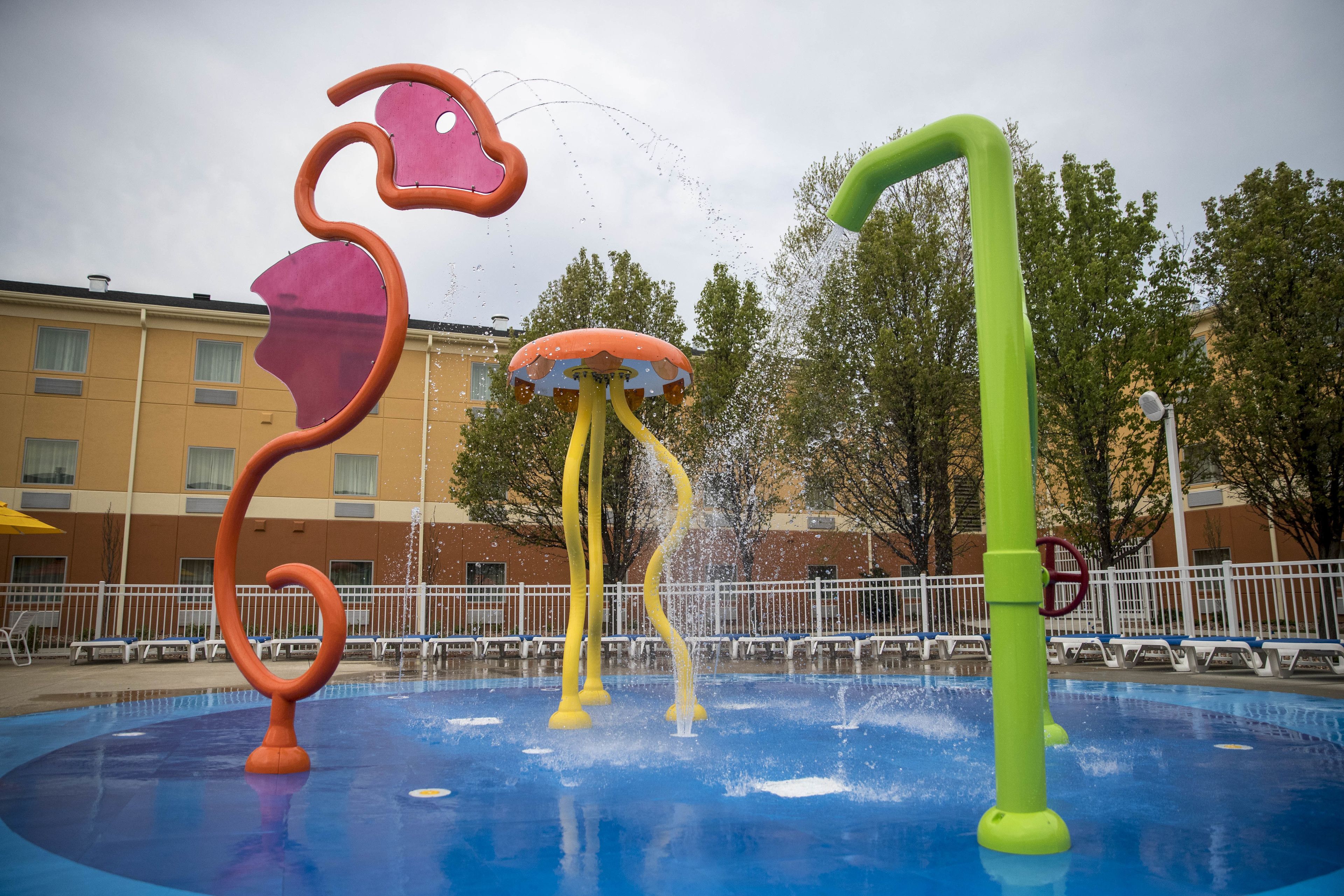 outdoor pool, pool umbrellas, pool loungers