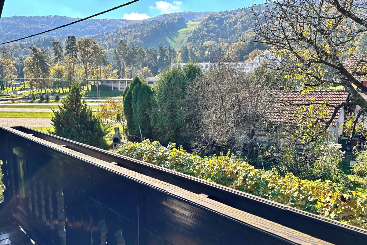 A view from a balcony overlooking a vineyard, with a wooden deck and a metal railing.