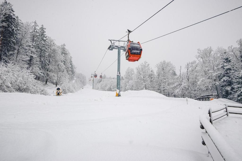 A snowy ski lift with a cable car in motion, surrounded by snow-covered trees.