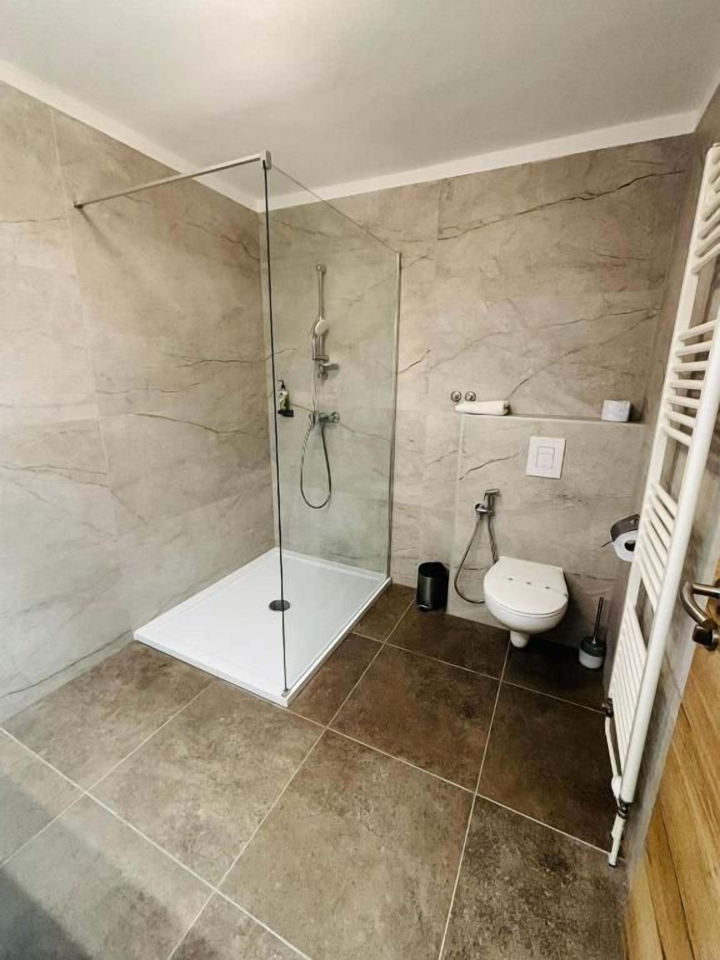 Une salle de bain avec une douche à parois de verre, des toilettes et un radiateur.