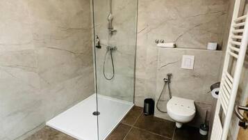 Une salle de bain avec une douche à parois de verre, des toilettes et un radiateur.