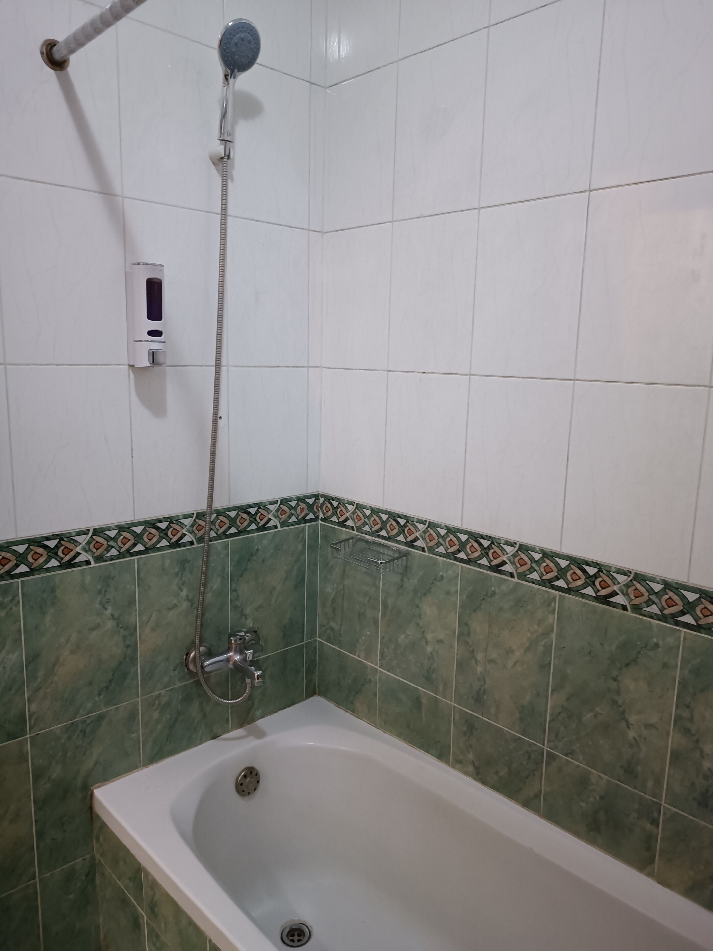 combined shower/bathtub, free toiletries, hair dryer, towels