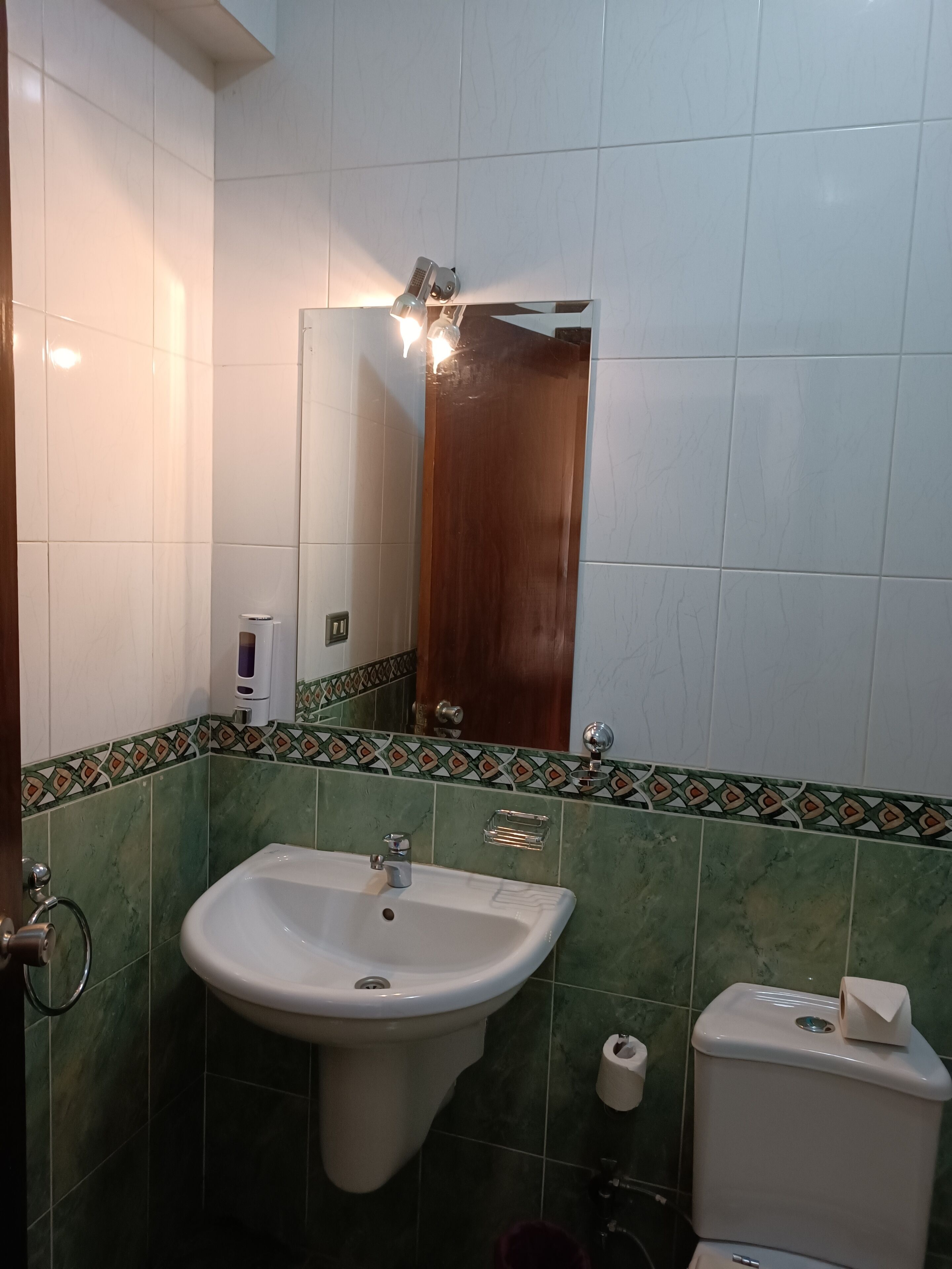 combined shower/bathtub, free toiletries, hair dryer, towels