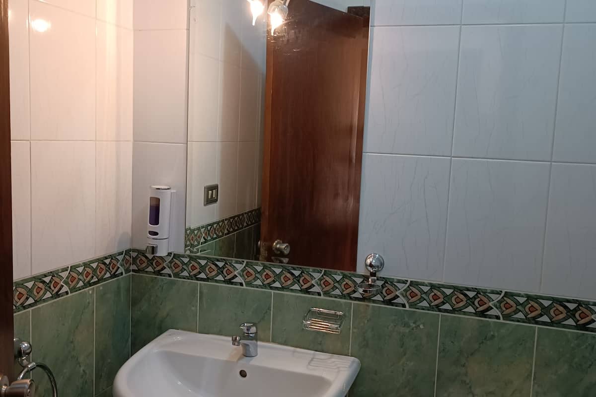 combined shower/bathtub, free toiletries, hair dryer, towels