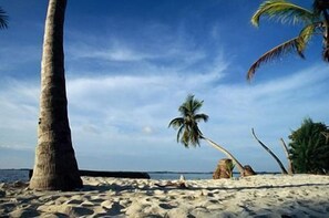 ชายหาด