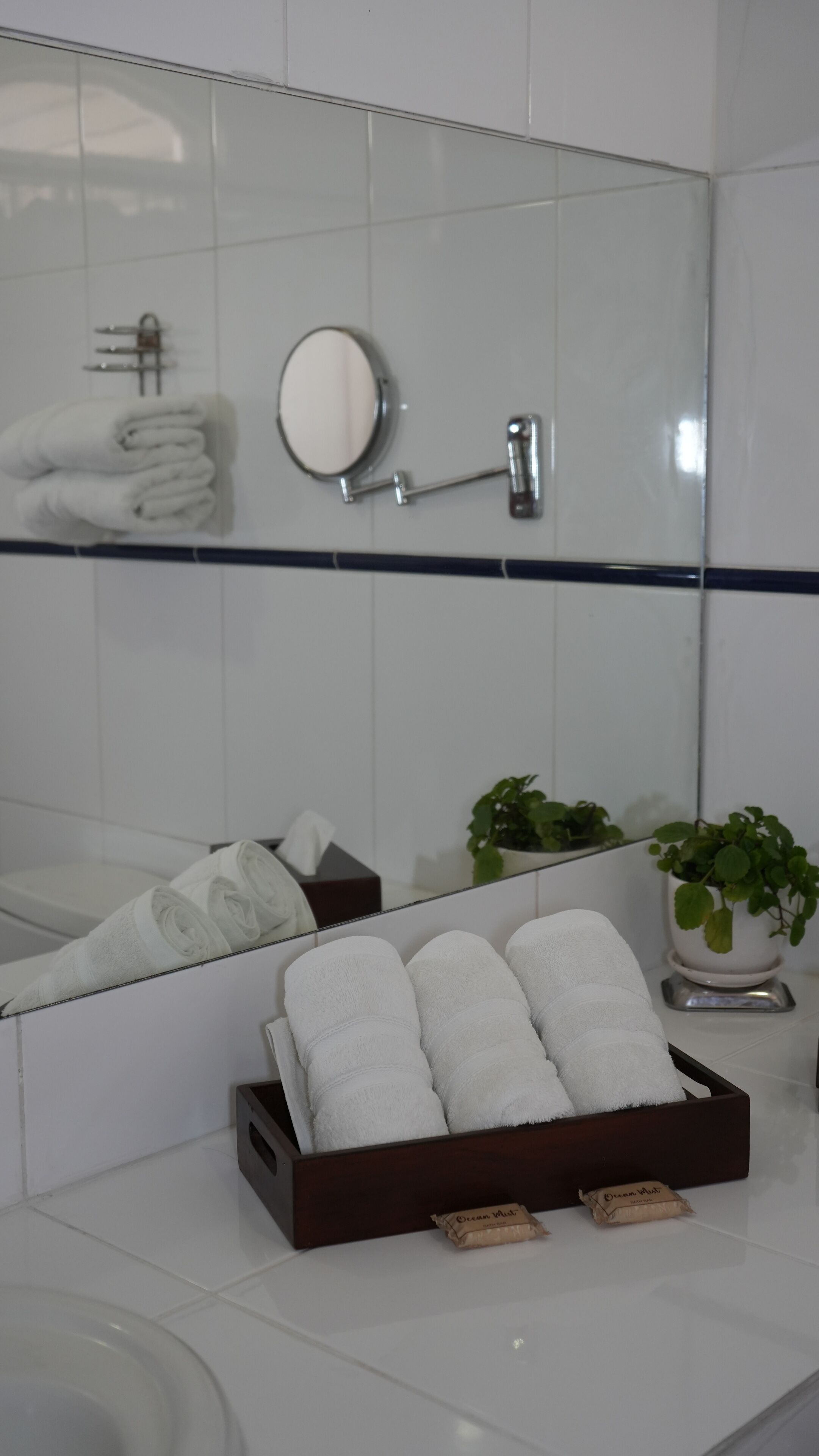A bathroom with a mirror, towel rack, and a plant.
