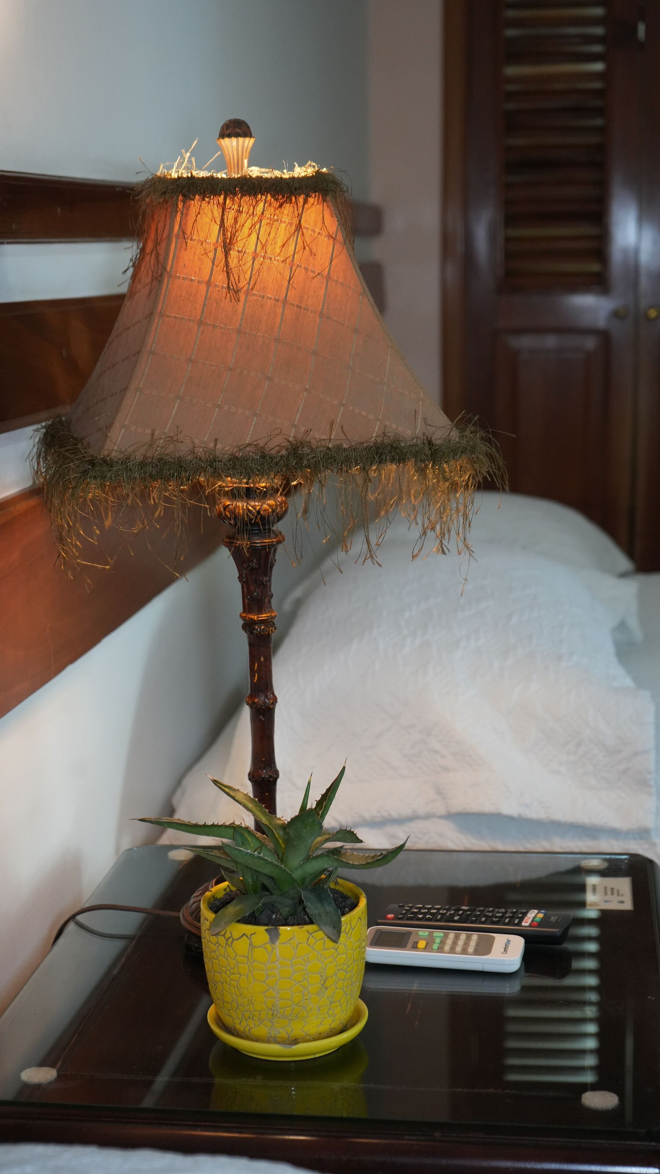 A bed with a wooden headboard, a bedside lamp with a fabric shade, a small potted plant, and a remote control on a wooden nightstand.
