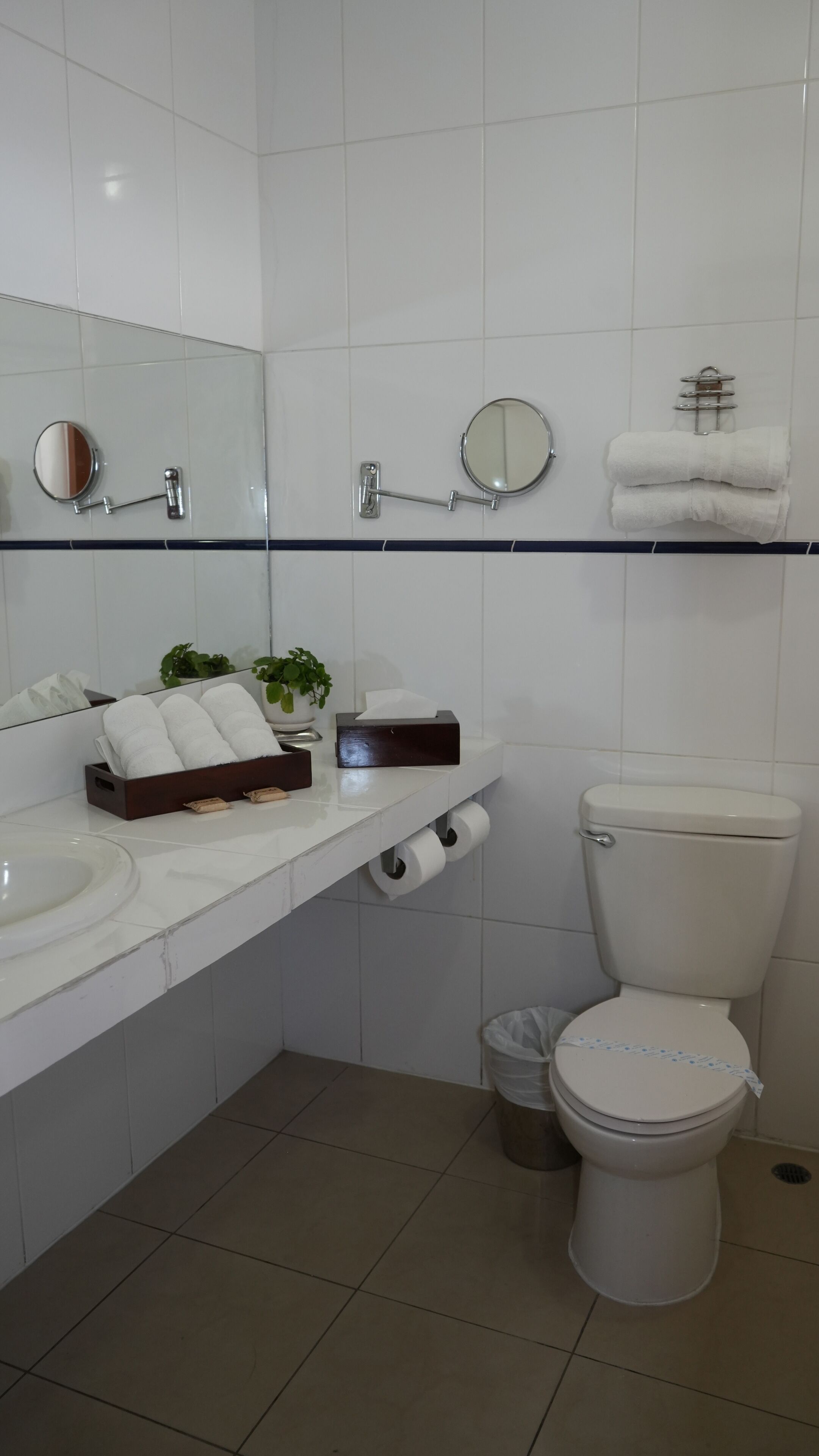 Un baño con dos lavabos, un inodoro y un espejo. Hay toallas y una caja de pañuelos en la encimera.
