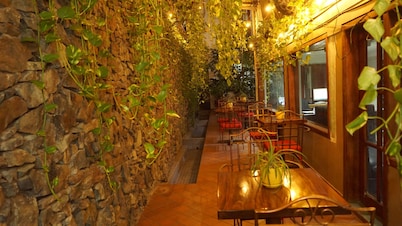 Hotel Casa del Arbol