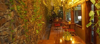 Hotel Casa del Arbol
