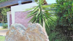 A large rock and a palm tree in front of a building with a brick wall and a wooden roof.