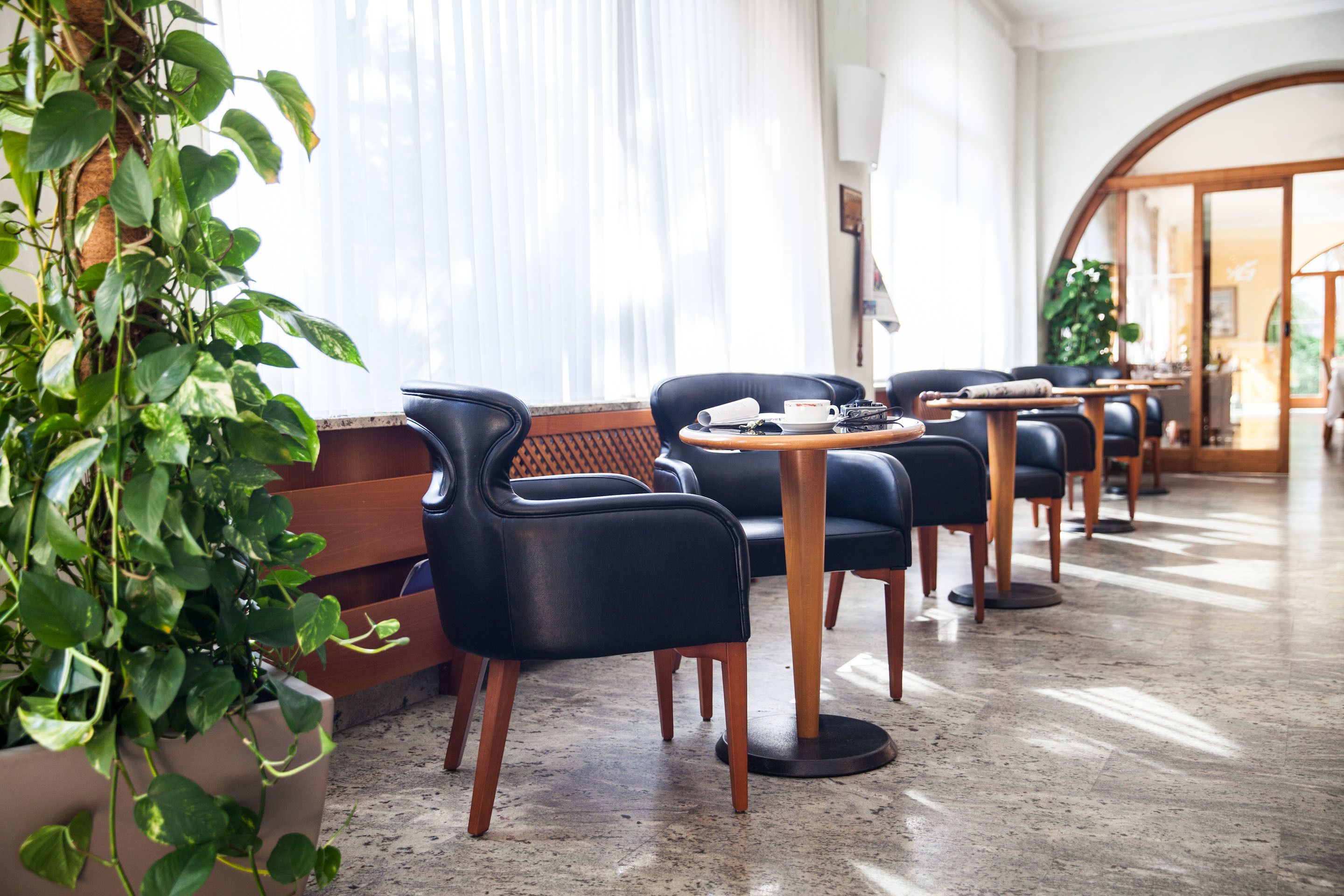 Un interior moderno con sillones de cuero negro, mesas de madera y una planta grande en maceta.