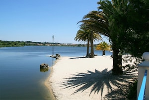 A beach with calm water, palm trees, and a clear sky.