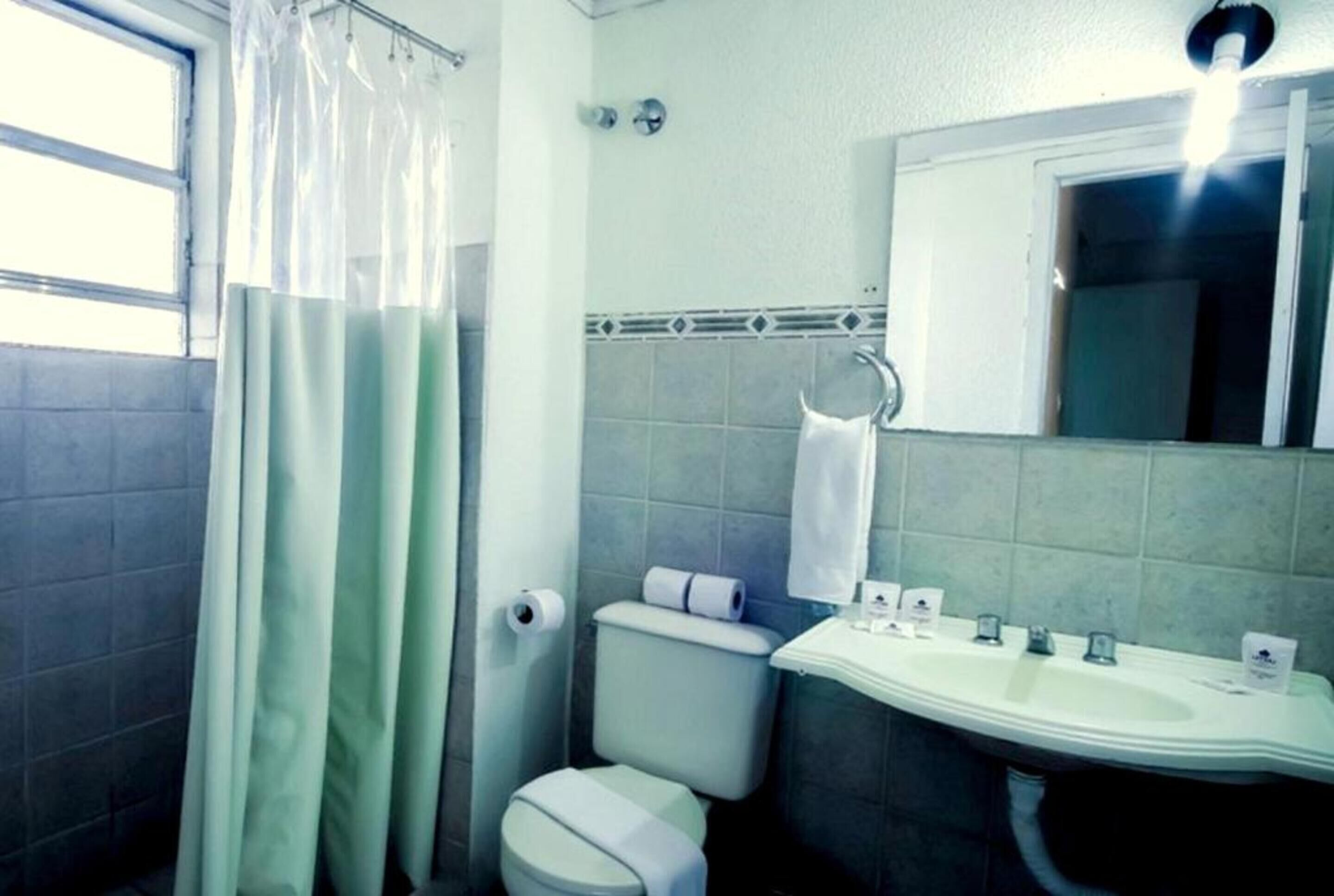A bathroom with a toilet, sink, and shower curtain.