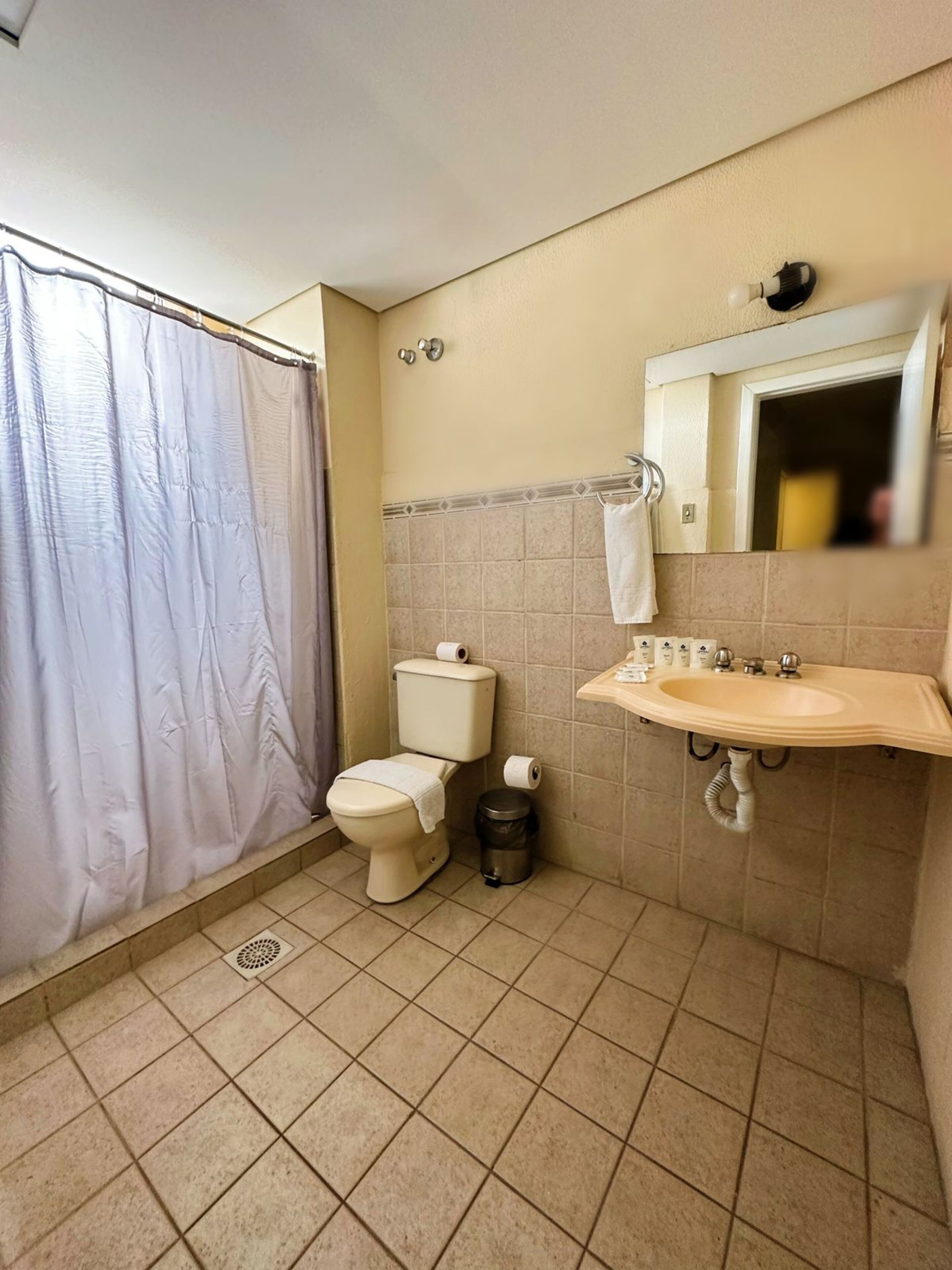 A bathroom with a toilet, sink, and shower curtain.