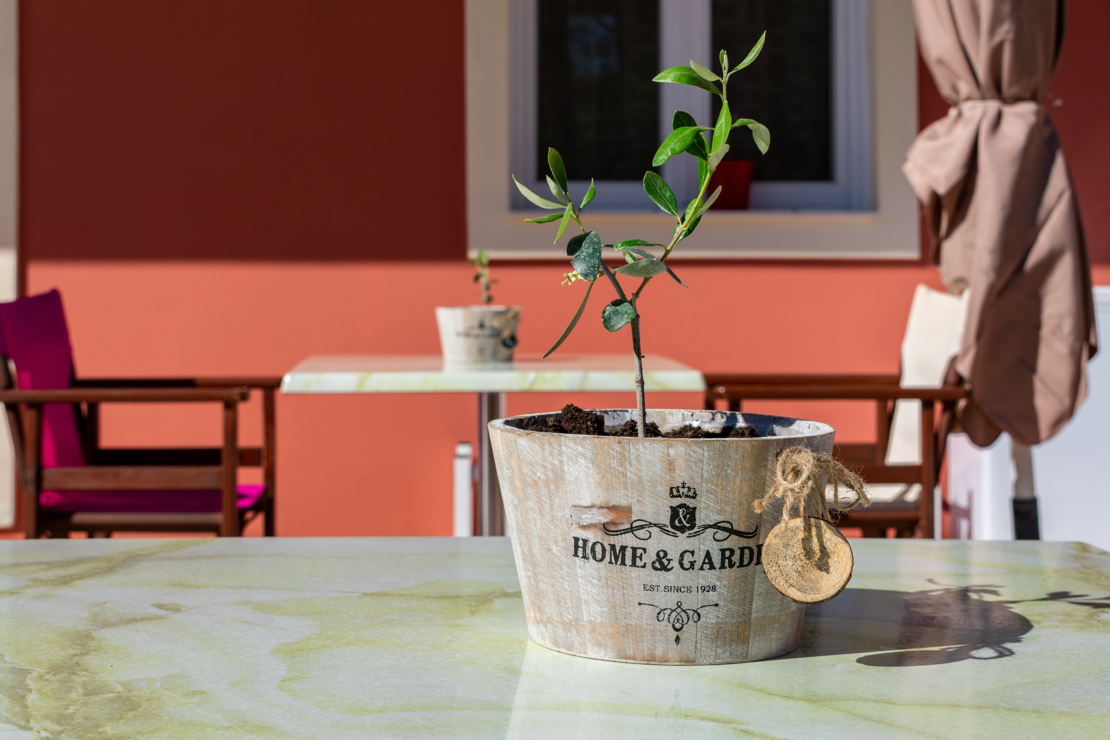 Foto - Zante Pantheon Hotel