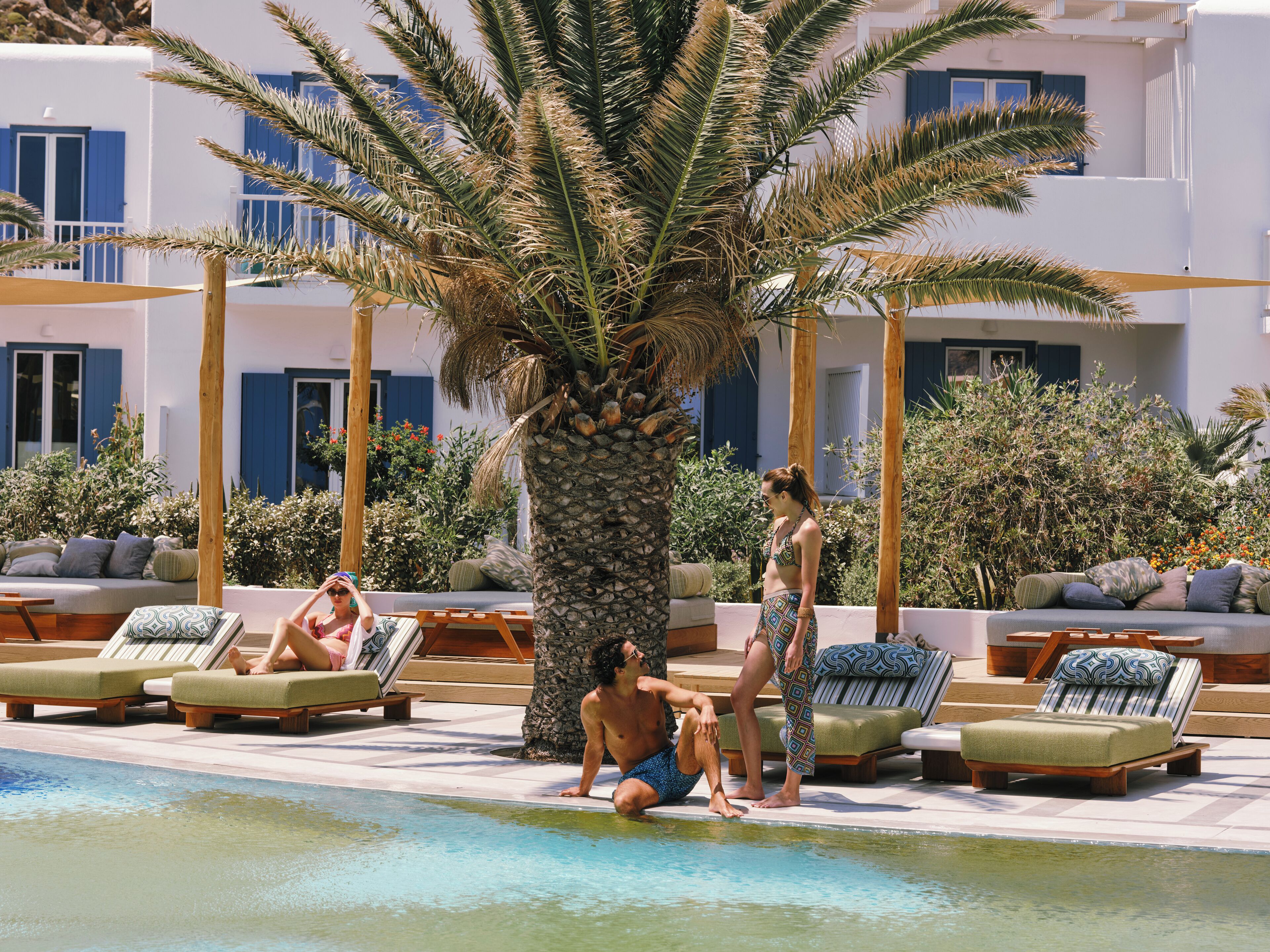 A poolside area with lounge chairs, a palm tree, and a building with blue shutters.