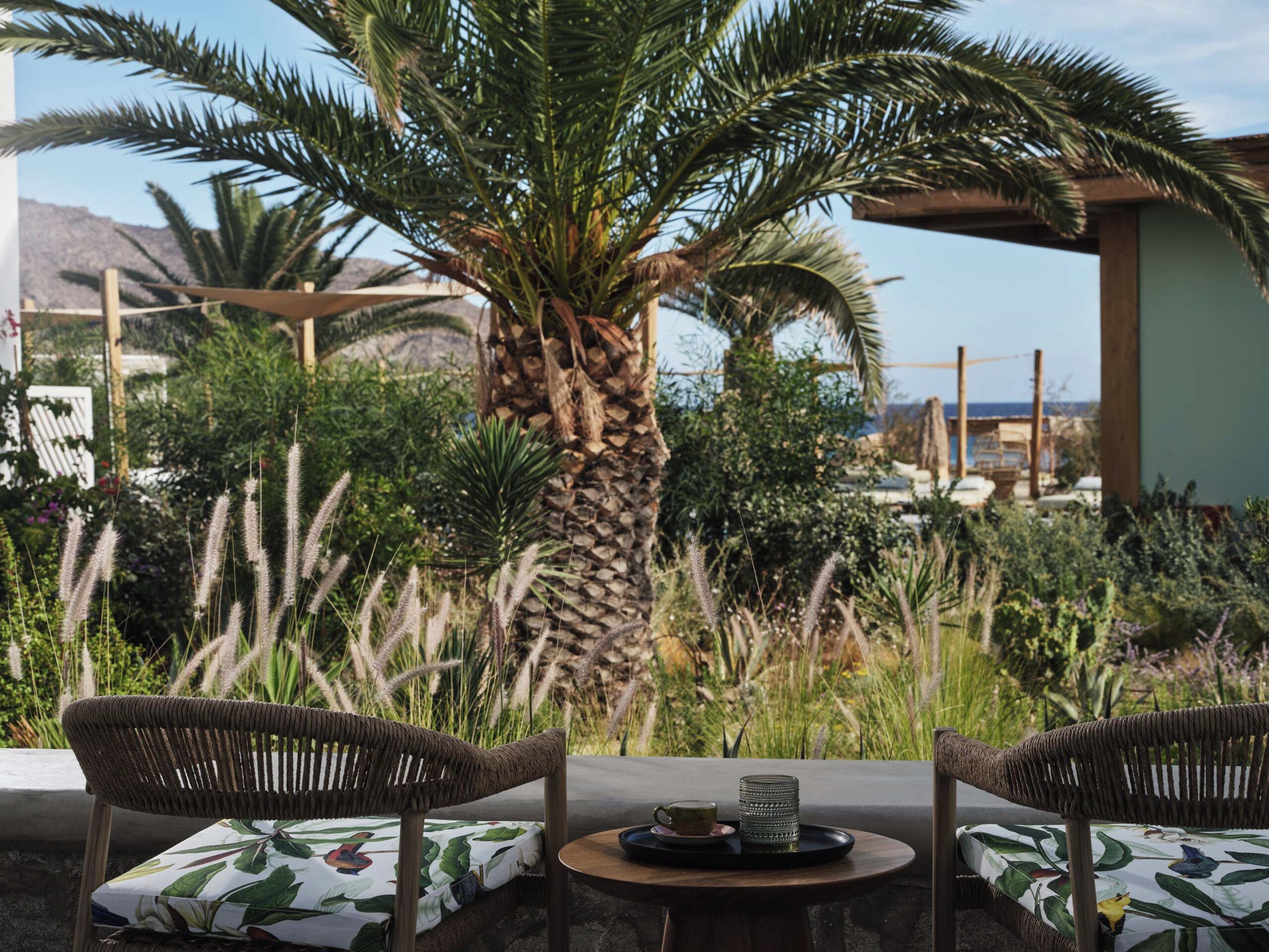 Un patio con dos sillas de mimbre, una mesa redonda y una palmera.