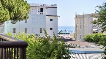 Vue depuis le balcon