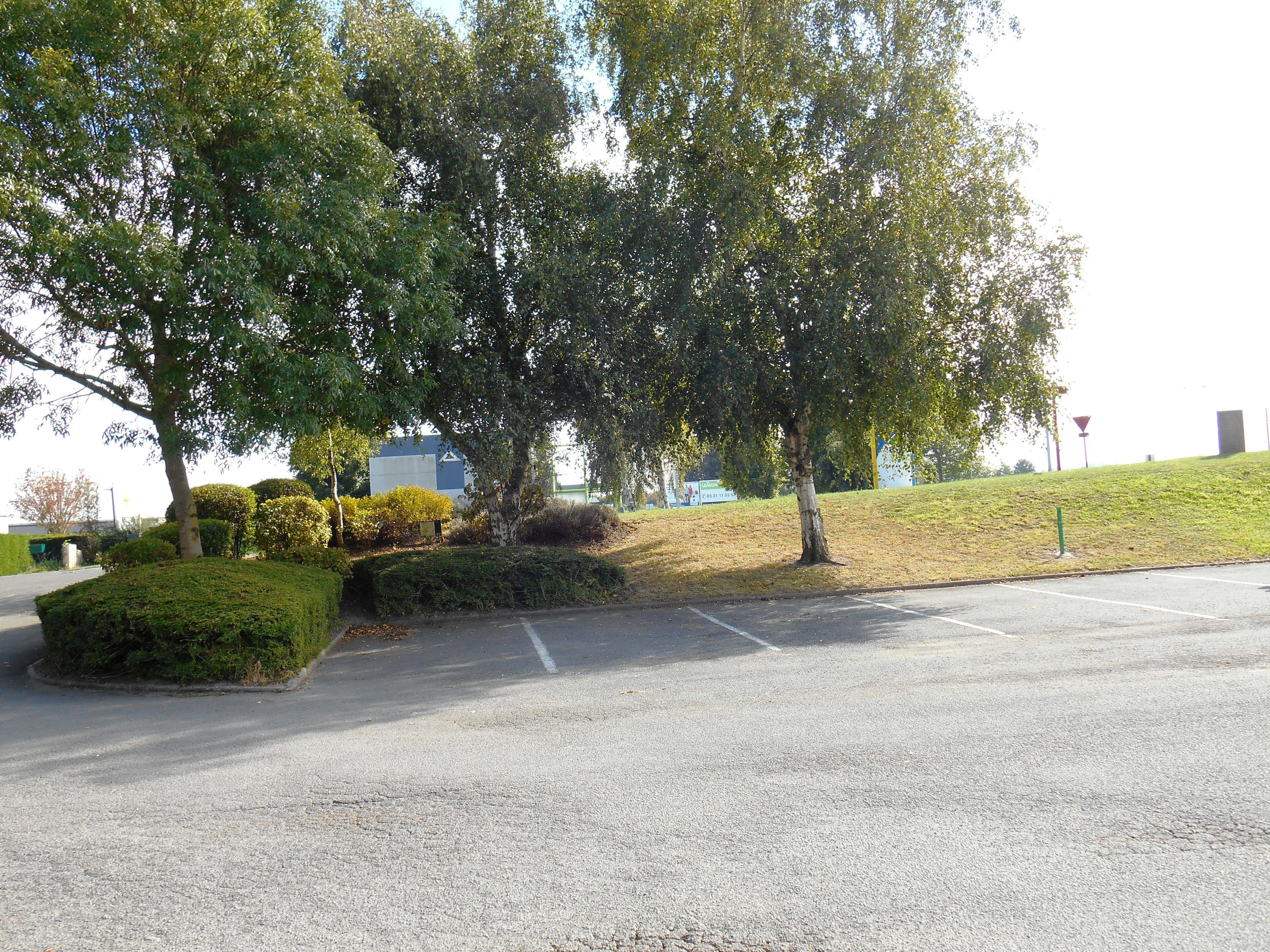 A parking lot with trees and a grassy area.