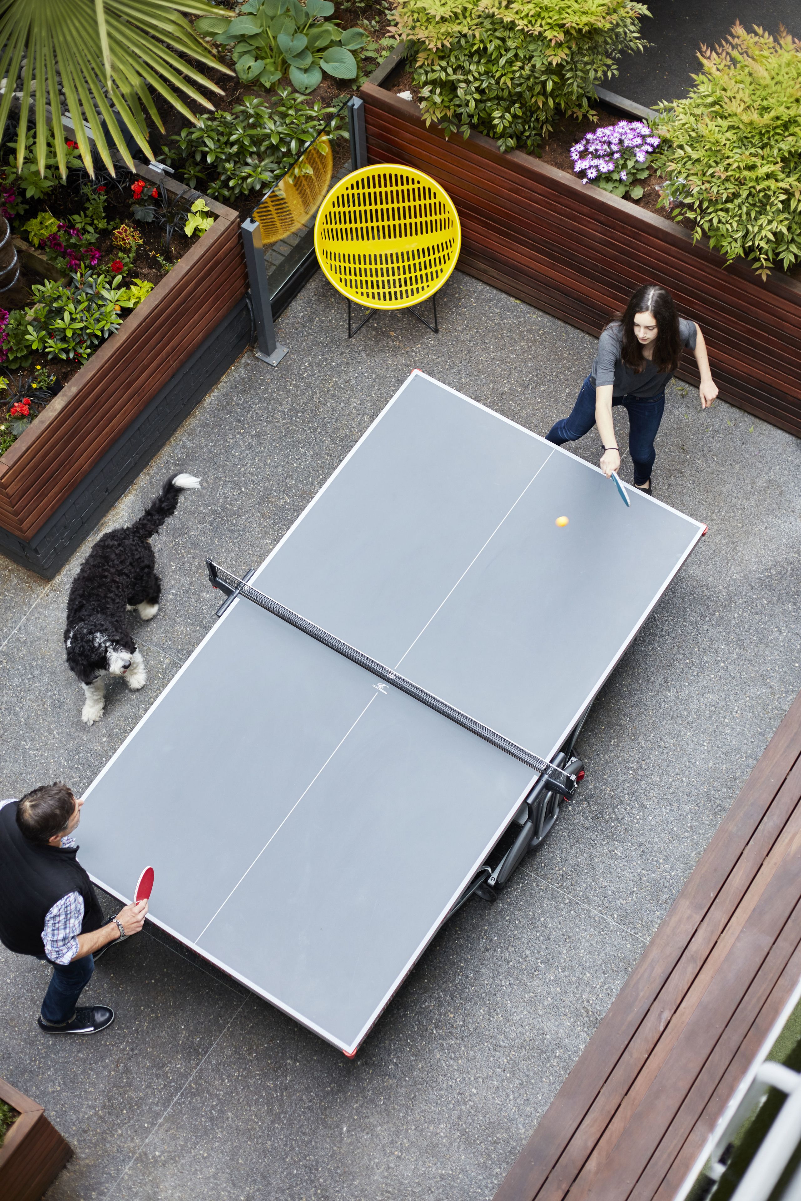 A ping pong table set up outdoors with a wooden deck and garden beds.