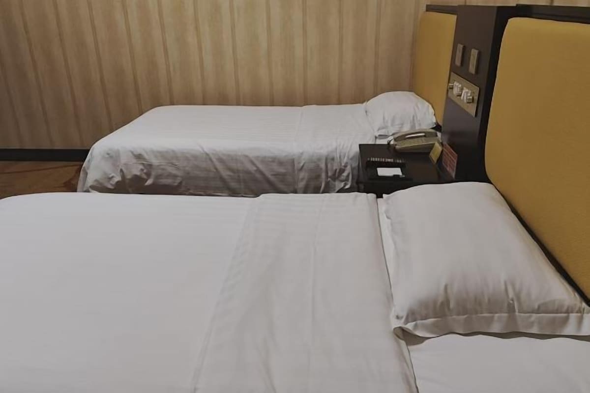 Ein Hotelzimmer mit zwei Einzelbetten, einem Nachttisch mit Telefon und einer an der Wand montierten Steuerung.