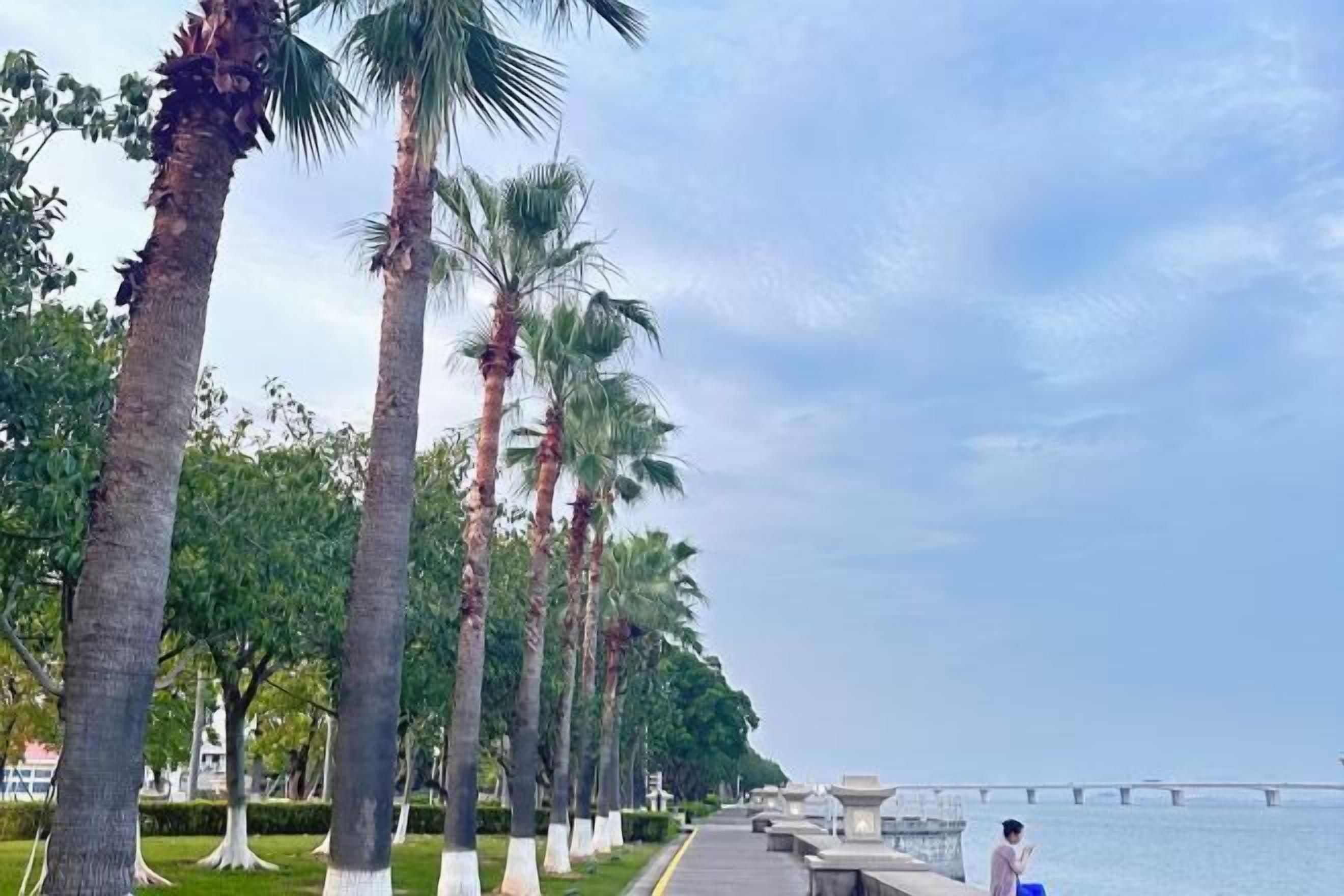 住宿景觀