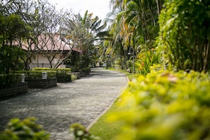 Vườn