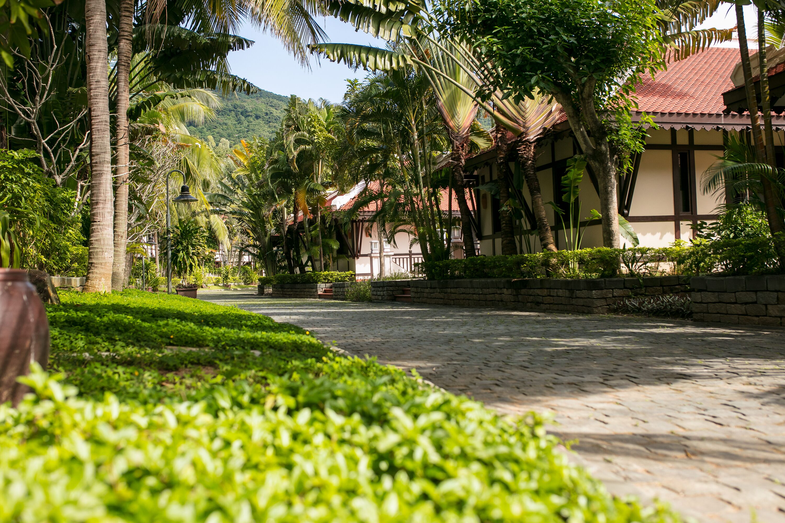 A cobblestone pathway lined with lush greenery and palm trees, leading to a traditional building with a tiled roof.