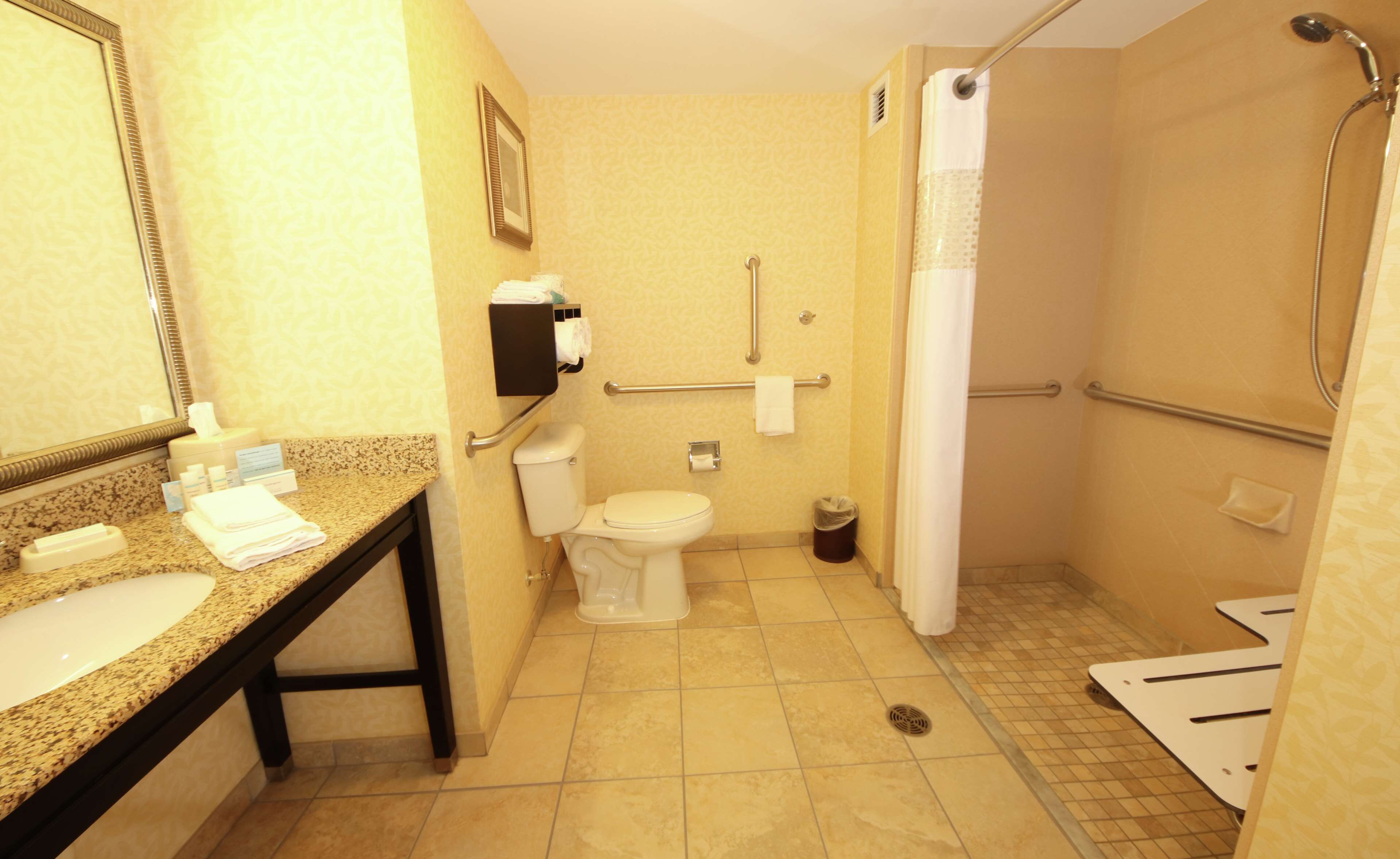 room, 1 king bed, accessible, non smoking | bathroom shower