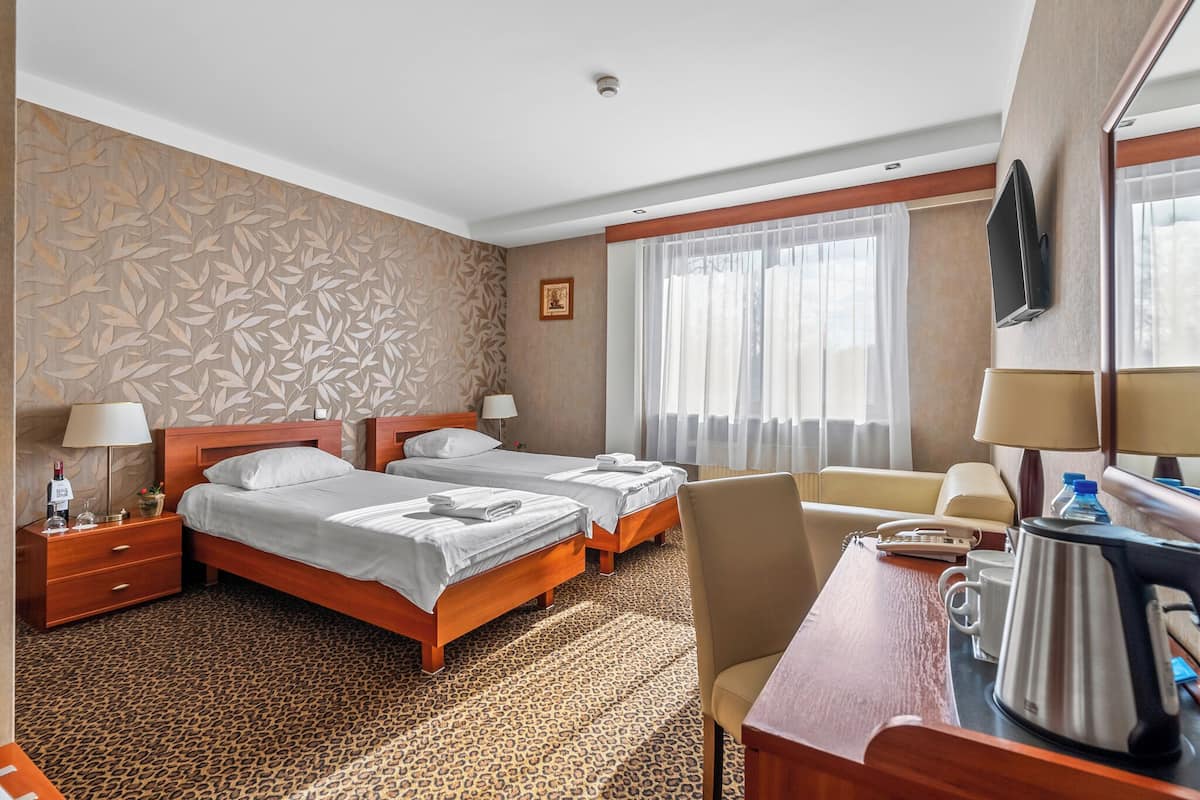 Standard Twin Room | In-room safe, desk, soundproofing, iron/ironing board